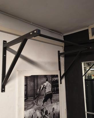 Barra trazioni da muro professionale 