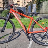 Mtb wheelie bike
