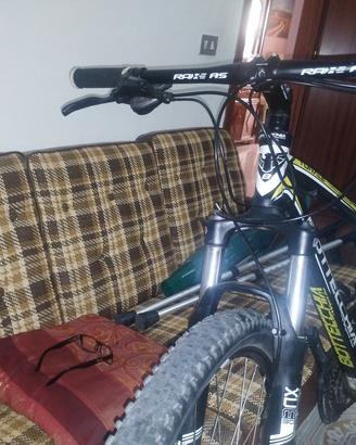 Bottecchia Tonale