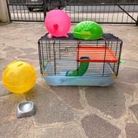 Gabbia per criceto