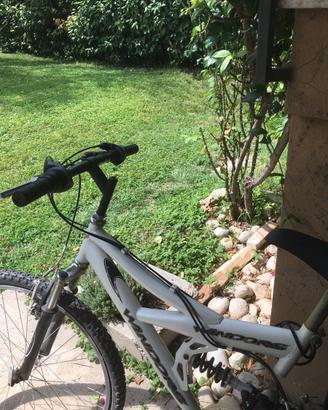 Mountain bike