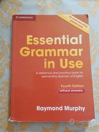 Essential Grammar in Use