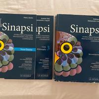 Filosofia- sinapsi 3- libro superiori (usato)