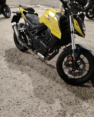 Hornet 750