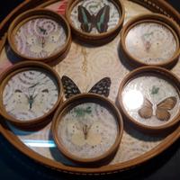 Vassoio e Sottobicchieri