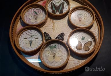 Vassoio e Sottobicchieri