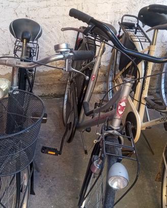 Bicicletta per donne