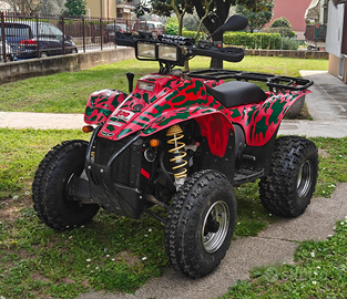 Quad Polaris 500