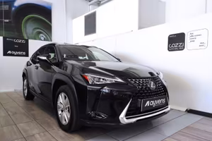 LEXUS UX - UX Hybrid Business