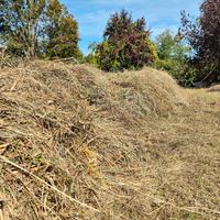 Fieno per pacciamatura o animali