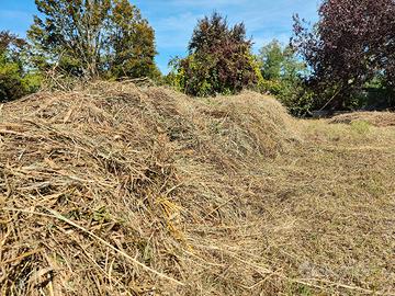 Fieno per pacciamatura o animali