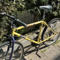 Bicicletta mountain bike Bianchi “ATBHUSKY218”