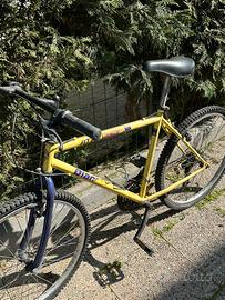 Bicicletta mountain bike Bianchi “ATBHUSKY218”