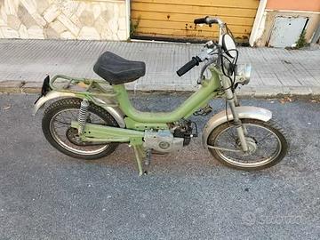 Califfone rizzato - 1975