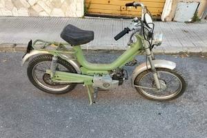 Califfone rizzato - 1975