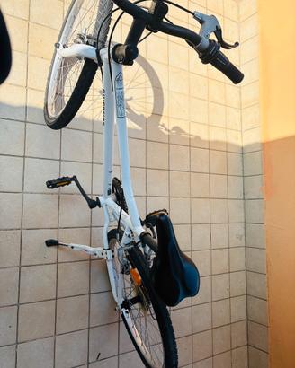 BICICLETTA🫶🏻