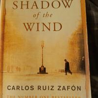 the Shadow of the wind 