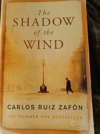 the Shadow of the wind 