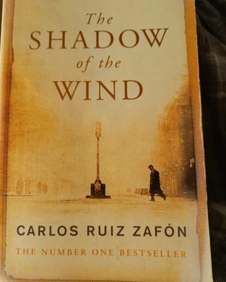 the Shadow of the wind 