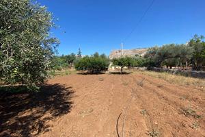Terreno di 1680 m² a Terrasini