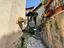 Immagine 21