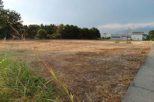 Terreno edificabile di 6500 mq