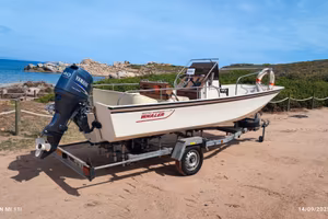 Boston Whaler 17C