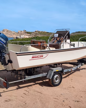 Boston Whaler 17C