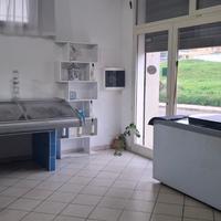 Attivita' gia' avviata