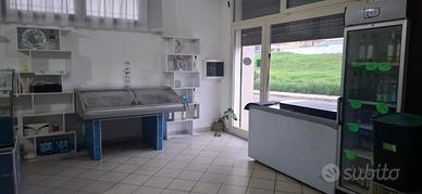 Attivita' gia' avviata