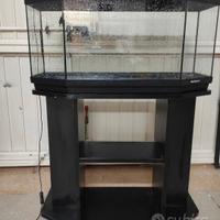 Acquario 80 litri