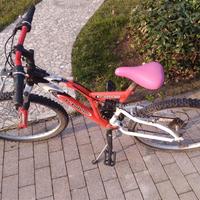 bici MTB 24