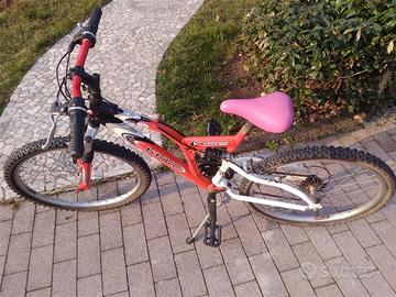 bici MTB 24