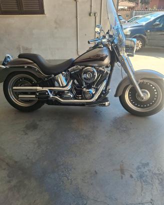 Harley davidson fat boy