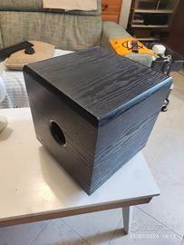sub woofer attivo