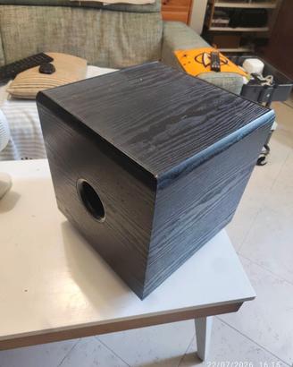 sub woofer attivo