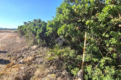 TER. AGRICOLO A CALASETTA