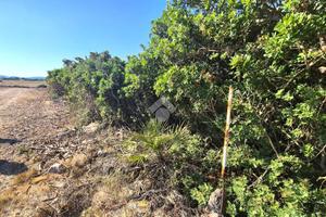 TER. AGRICOLO A CALASETTA