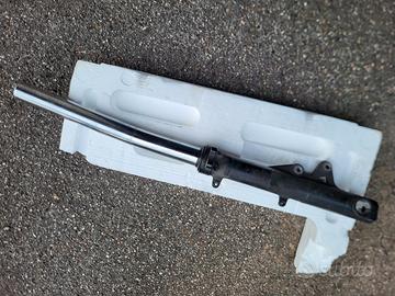 Forcelle BMW F800 R steli piegati