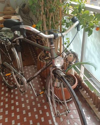Bicicletta da uomo