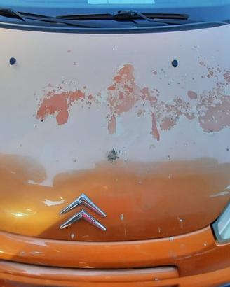 CITROEN C3 PLURIEL 2005 - COFANO ANTERIORE