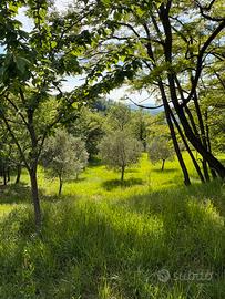 Terreno agricolo seminativo
