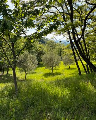 Terreno agricolo seminativo