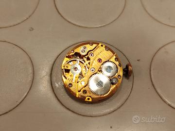 Unadjusted 17 rubini 19,5 mm