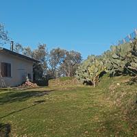 Graziosa casa antisismica