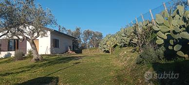 Graziosa casa antisismica