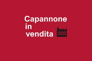 Capannone Industriale Camisano Vicentino