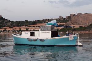 barca in resina