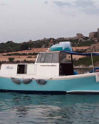 barca in resina