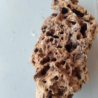 pietra forata per acquario, 